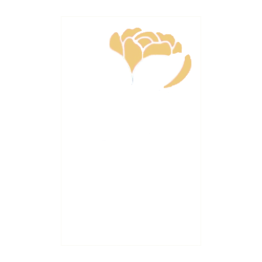 Havanachic Flowers & Gifts